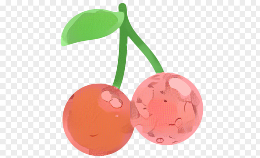 Cherry Plant Pink Background PNG