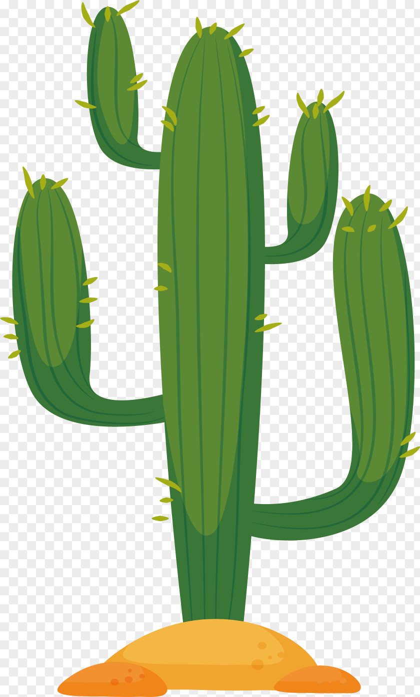 Desert Cactus Cactaceae In The Euclidean Vector PNG