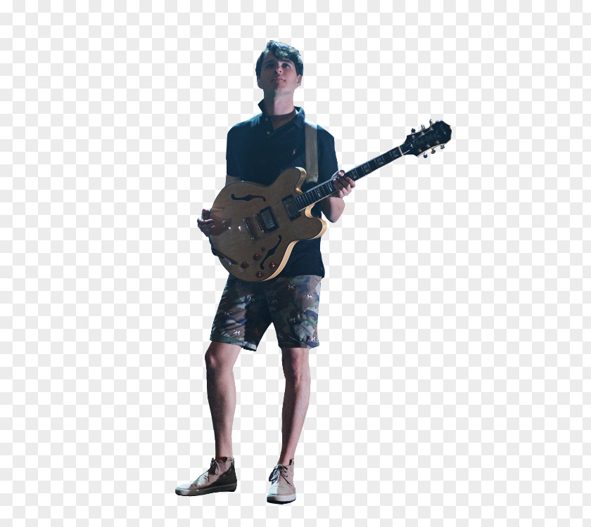 Electric Guitar Bass Microphone Double PNG
