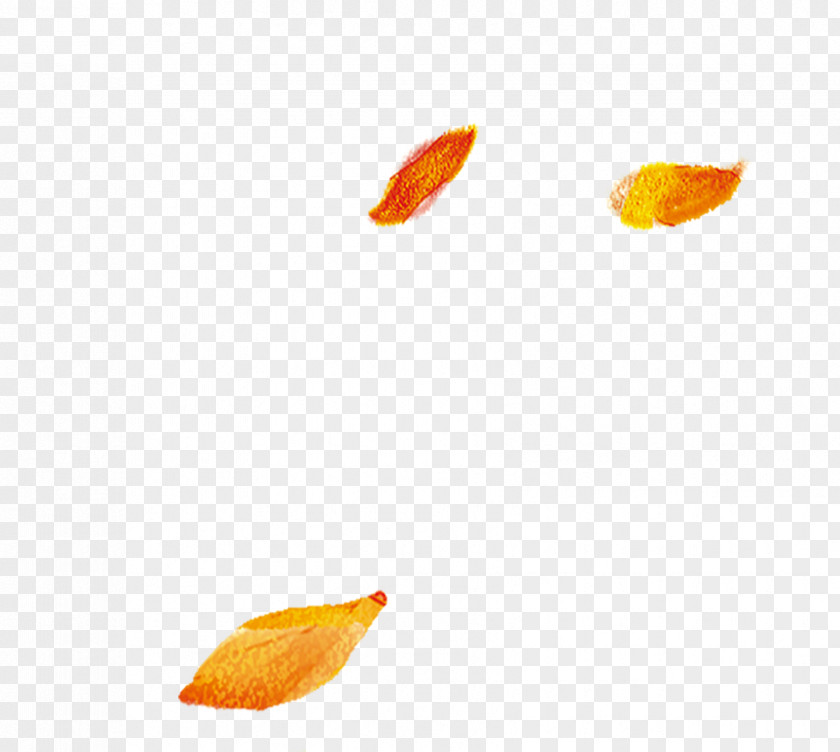 Falling Leaves Leaf Sky Pattern PNG