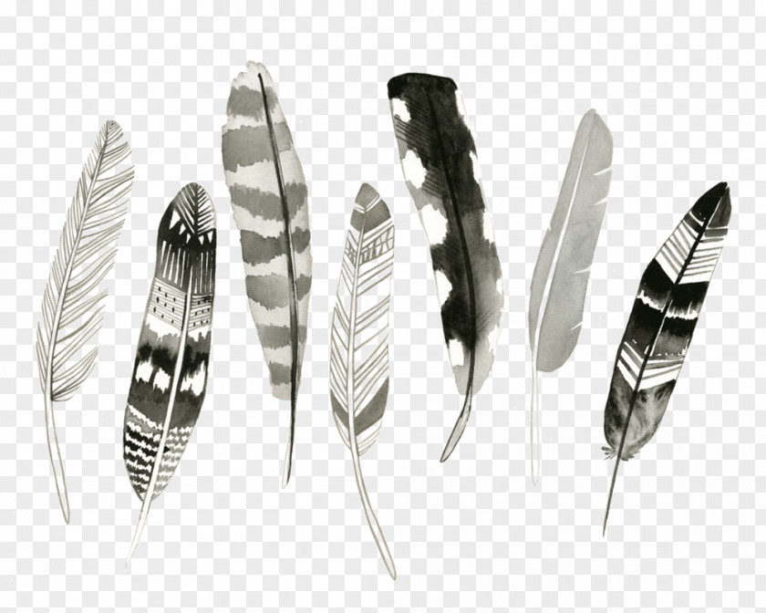 Feather Calendar Art Drawing Watercolor Painting PNG