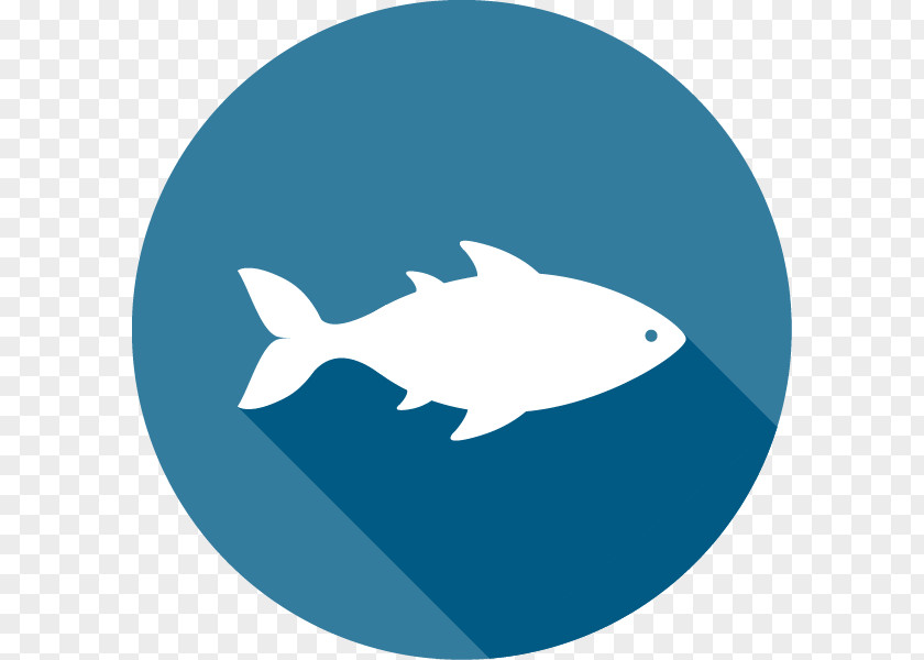 Fish Virginia Department Of Motor Vehicles Seafood Knowledge Test PNG