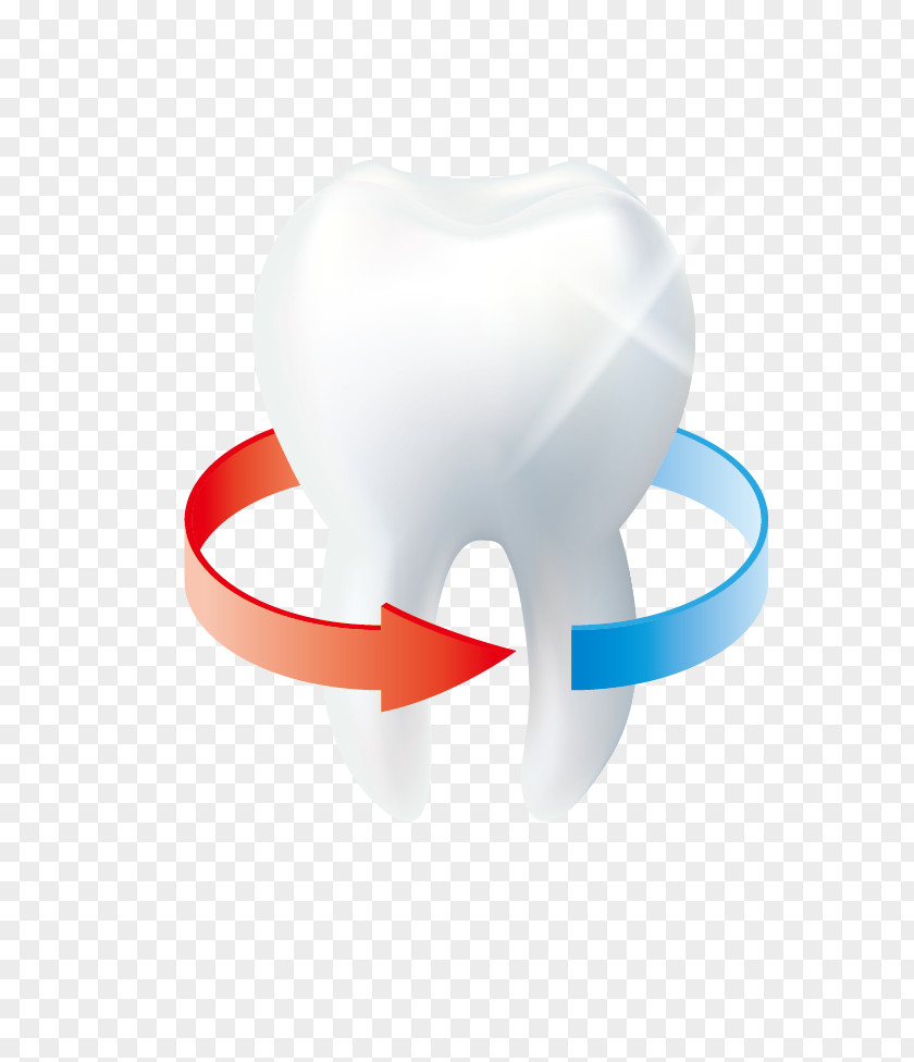 White Teeth Tooth Euclidean Vector Icon PNG