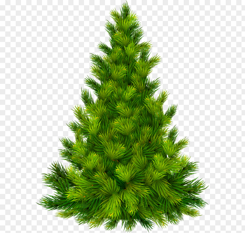 Green Pine Christmas Tree Ornament Clip Art PNG