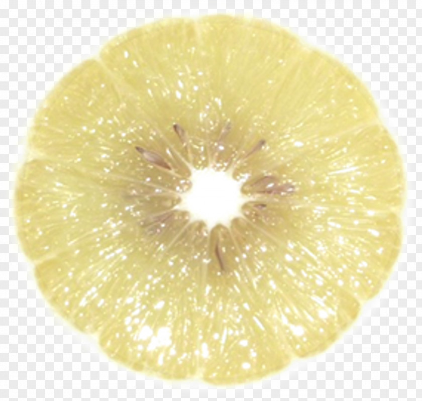 Bergamot Fruit PNG