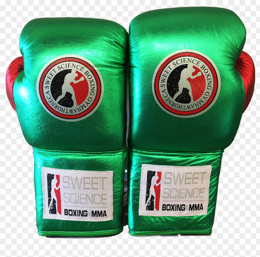 Boxing Gloves Woman Glove Product PNG