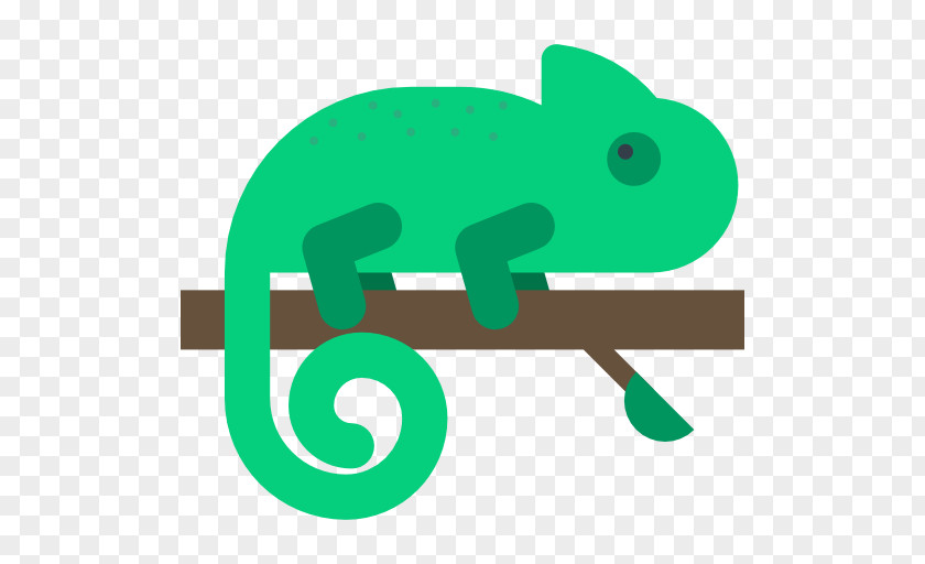 Chameleon Chameleons Animation PNG