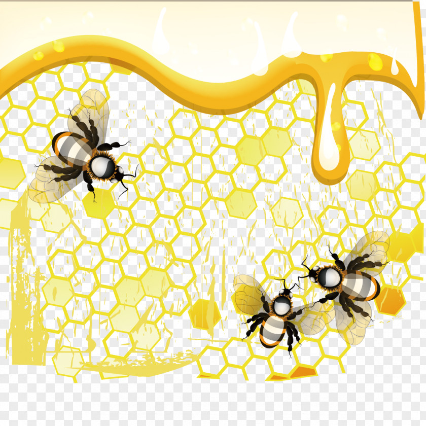 Honey And Bee Honeycomb PNG