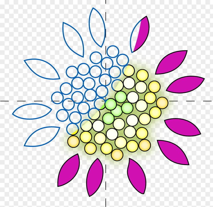 Line Clip Art Petal Product Point PNG