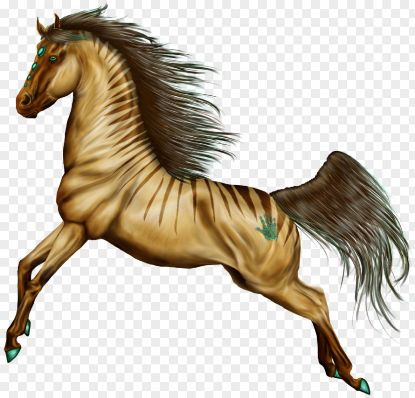 Mustang Mane Pony Foal Akhal-Teke PNG