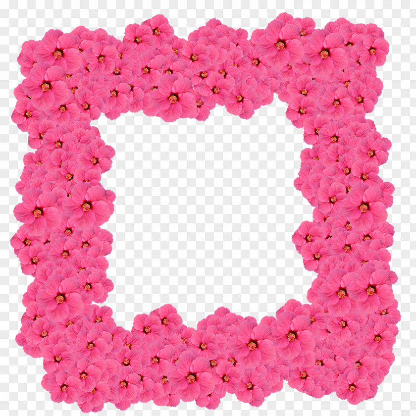 Pink Beads Flower Picture Frames Photography Petal Color PNG