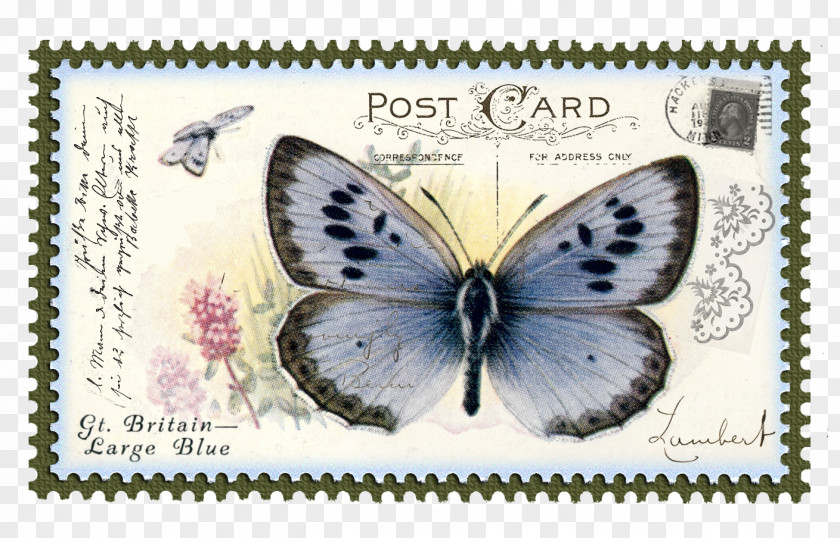 Post Stamp Swallowtail Butterfly Postage Stamps Paper First Day Of Issue PNG