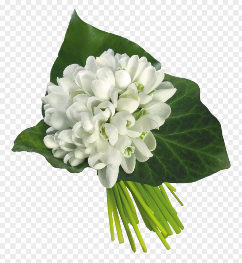 Snowdrop Galanthus Nivalis Flower Bouquet Wedding Bride PNG