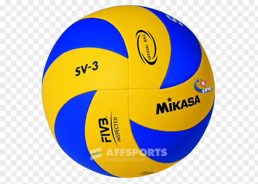 Volleyball Mikasa Sports Training MVA 200 PNG