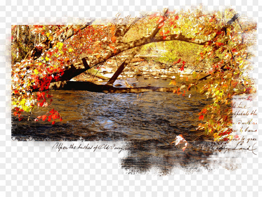 Autumn Desktop Wallpaper Landscape Spring PNG