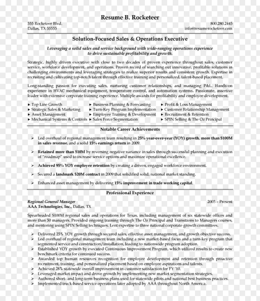 Computer Training Résumé Executive Summary Template Top Notch Resumes: Creating Flawless Resumes For Managers, Executives, And CEOs Sales PNG