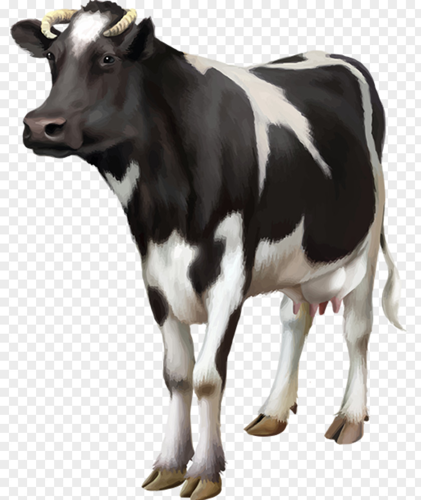 Cow Holstein Friesian Cattle Milk Goat Dairy Farming PNG