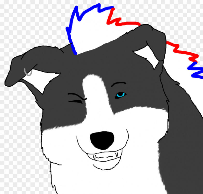 Dog Whiskers Cat Snout Mammal PNG