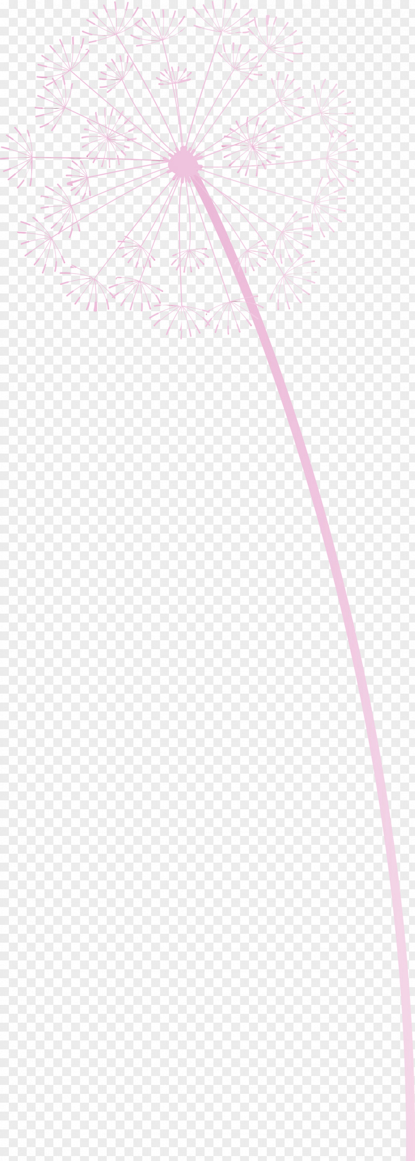 Flower Petal Tree Line Meter PNG