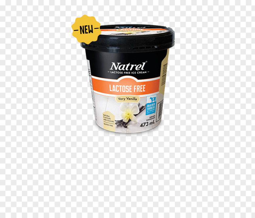 Ice Cream Vanilla Chocolate Milk Natrel PNG