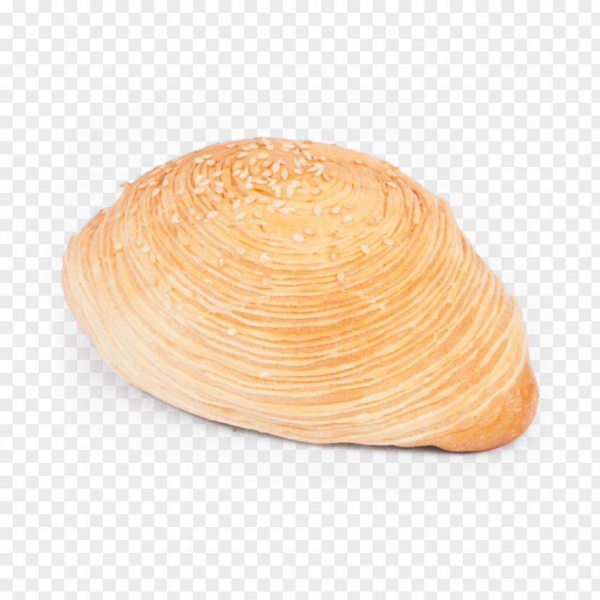 Sari Roti Tableware PNG