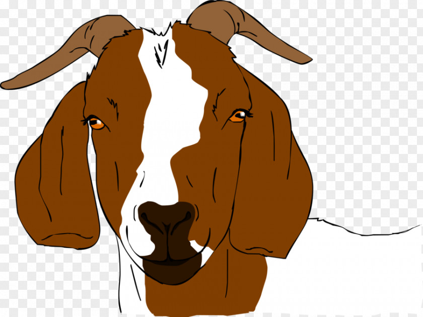 Show Goat Cliparts Boer Anglo-Nubian Drawing Clip Art PNG