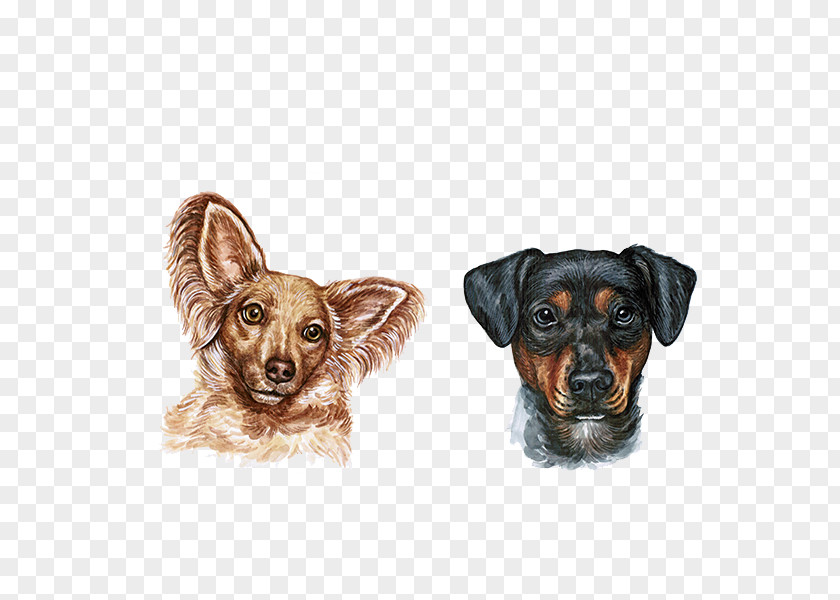 Watercolor Dogs Dog Painting PNG