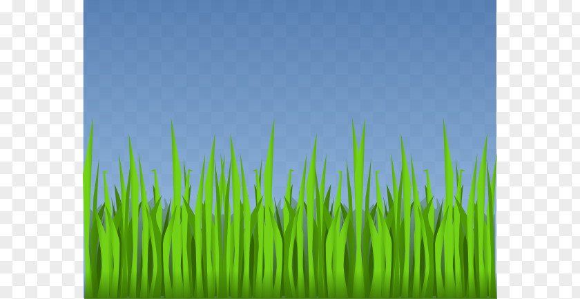 Animated Forest Cliparts Animation Lawn Clip Art PNG