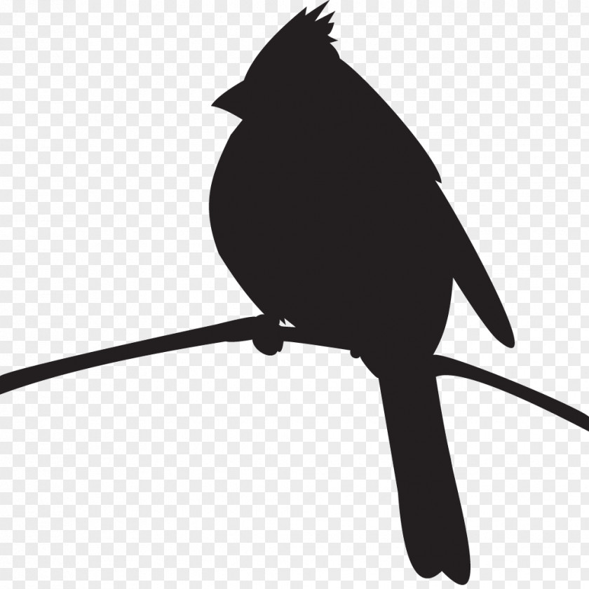 Bird Cornell Lab Of Ornithology Northern Cardinal Pyrrhuloxia Silhouette PNG