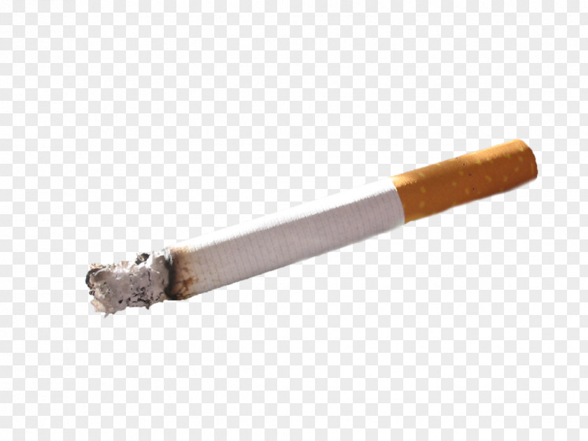 Cigar Cigarette Tobacco Smoking Blunt PNG