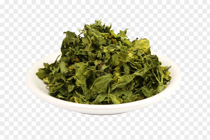 Flower Wakame Spring PNG