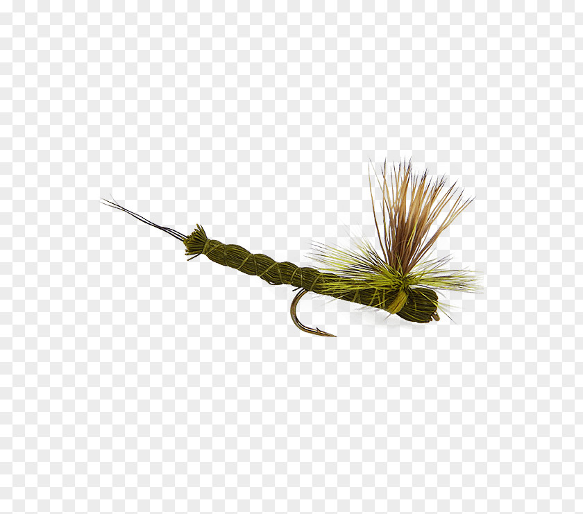 Fly Fishing Flies Holly Insect Product Hair PNG