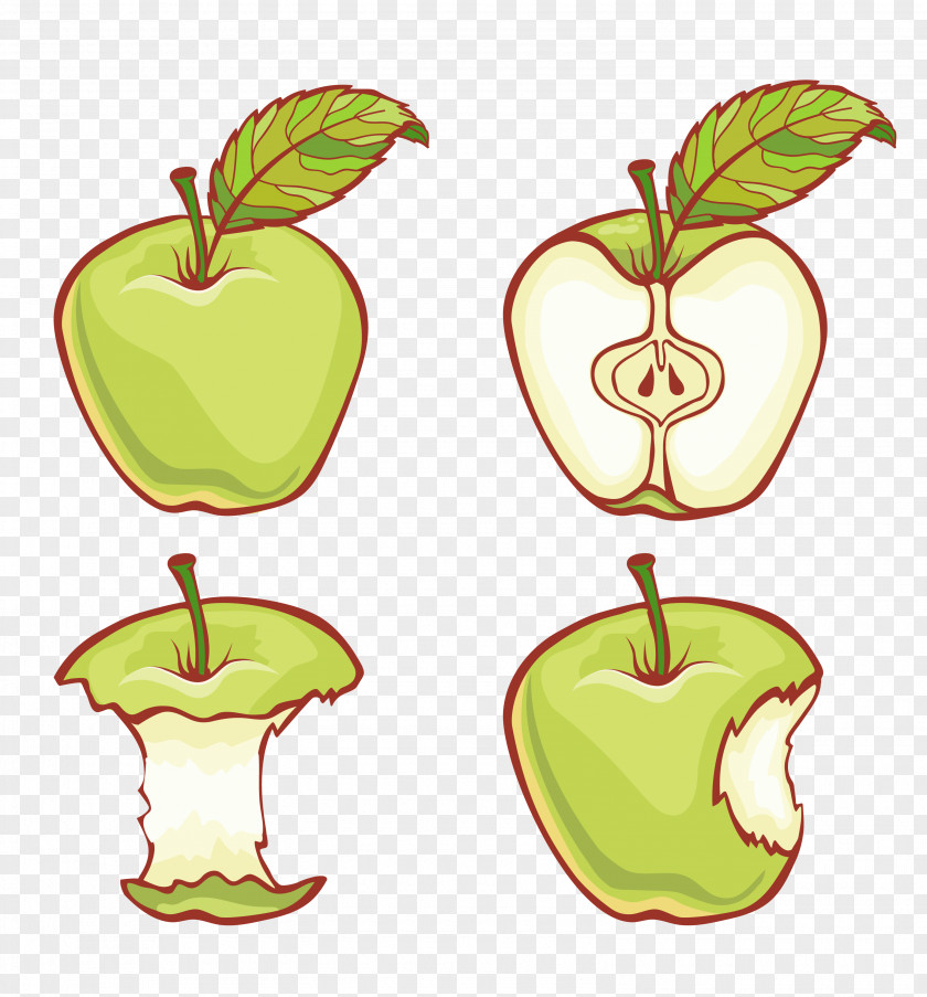 Green Apple Life Adobe Illustrator Illustration PNG