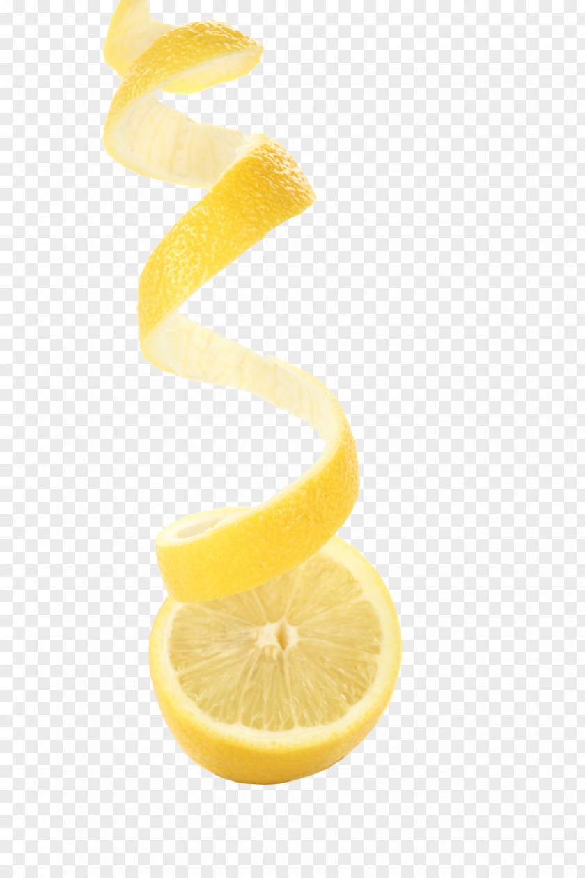 Lemon Citric Acid Lime Plant PNG