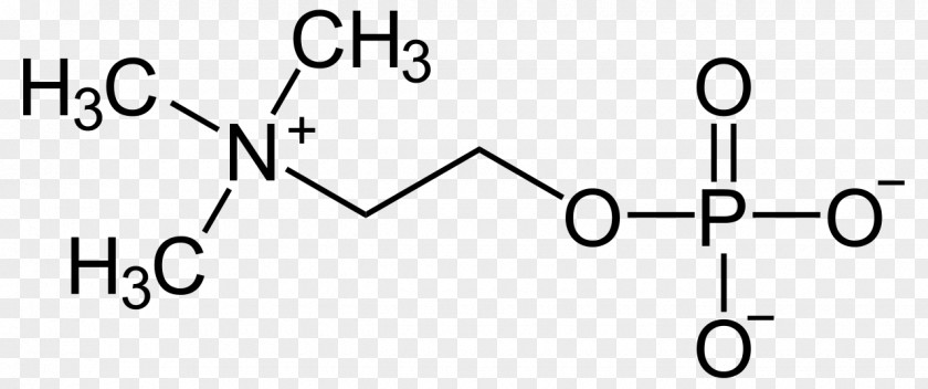 Molecule Choline Betaine Trimethylglycine Amino Acid PNG