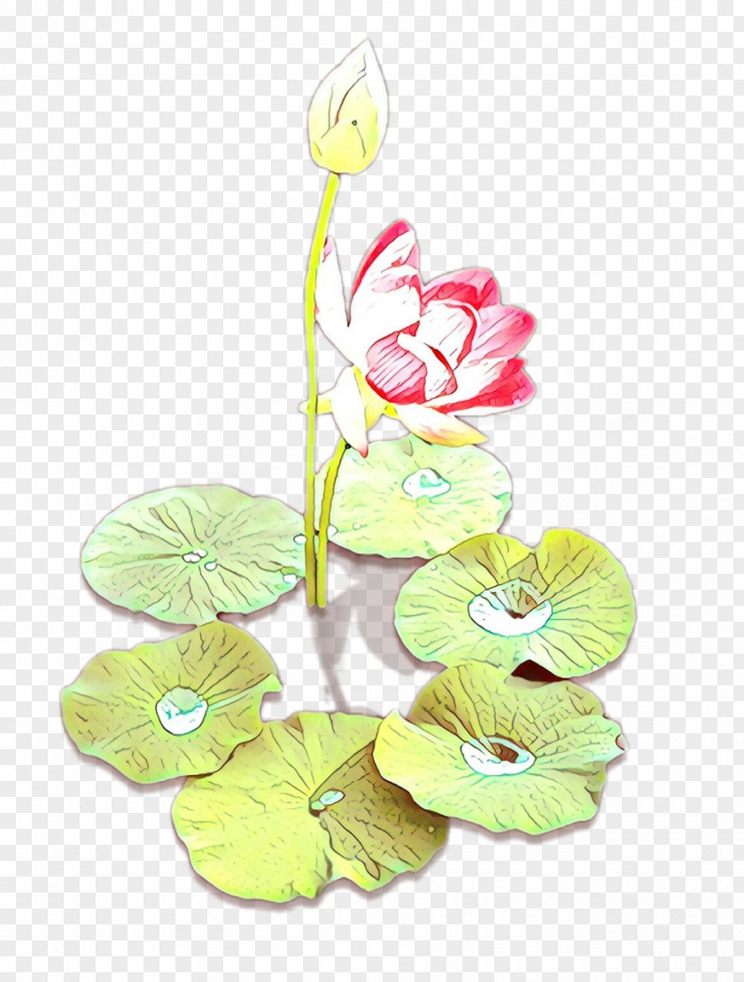 Petal Cut Flowers Floral Design Plant Stem PNG