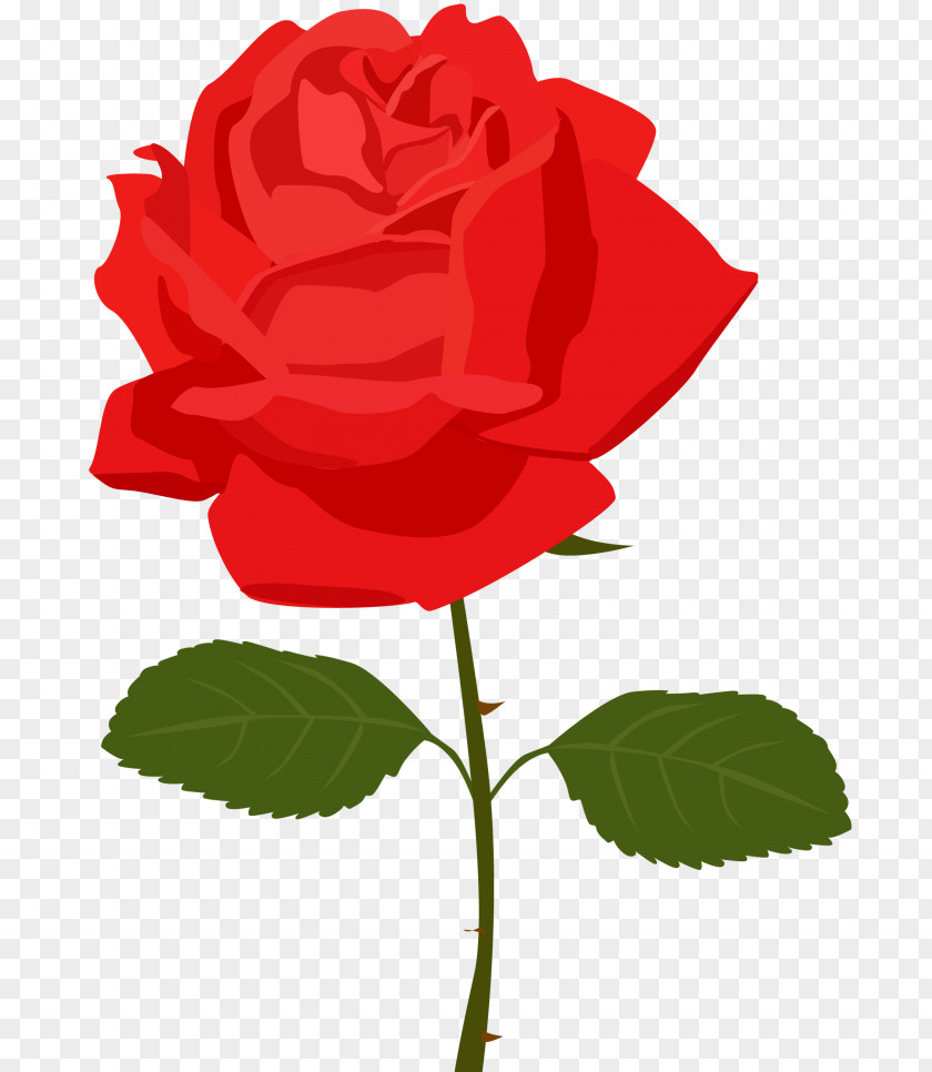 Rose Desktop Wallpaper Clip Art PNG