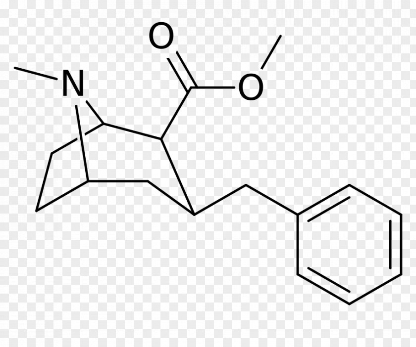 Structural Analog Cocaine Phenyltropane Benzoylecgonine PNG