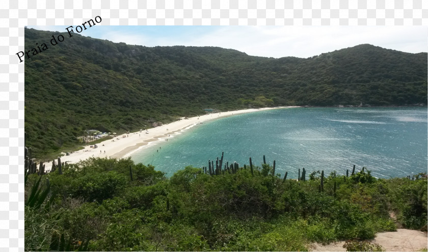 Beach Cove Shore Nature Reserve Water Resources PNG