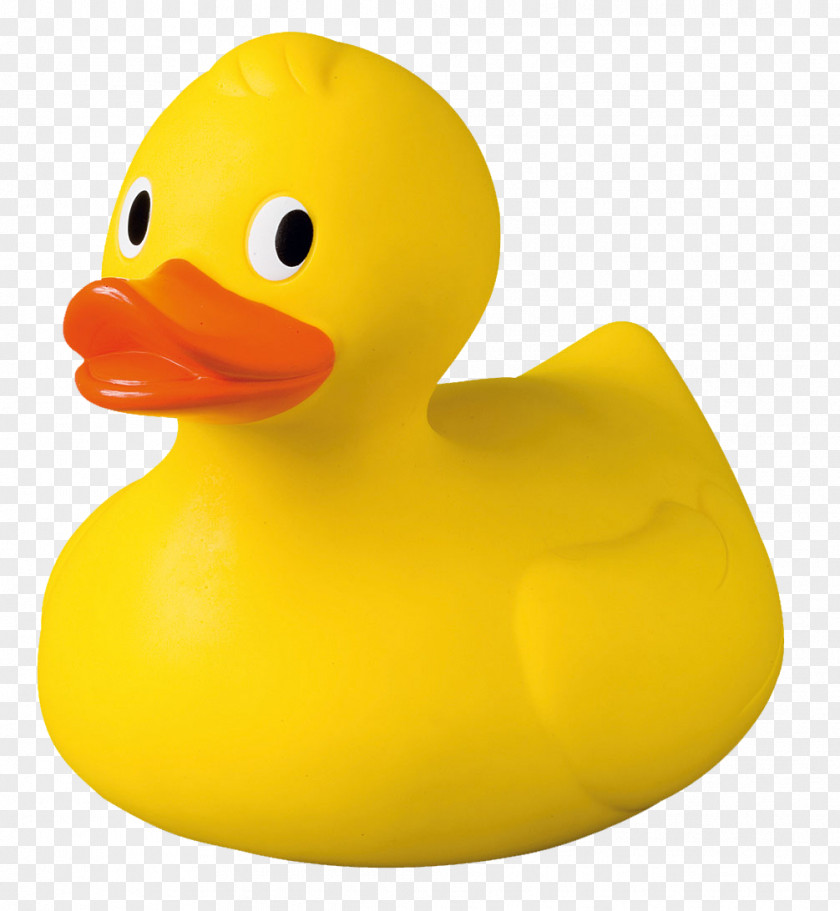Duck Rubber Canard Vivaldi Plastic PNG