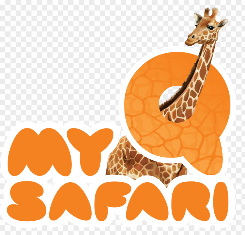 Giraffe Zoo Safari Clip Art JPEG PNG