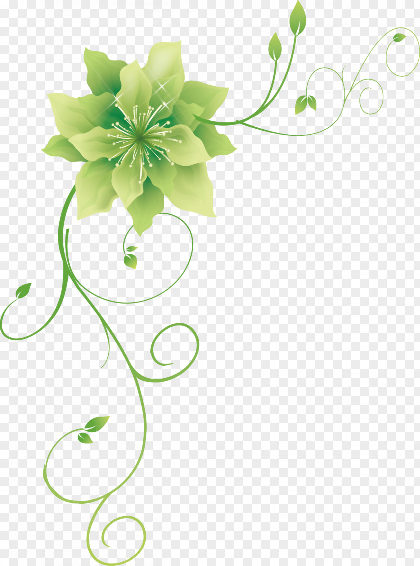 Green Flower PNG