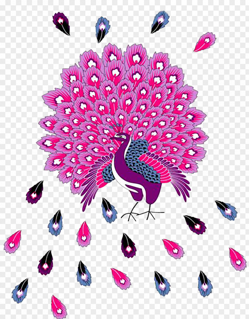 Pink Peacock Tail Feather Peafowl PNG