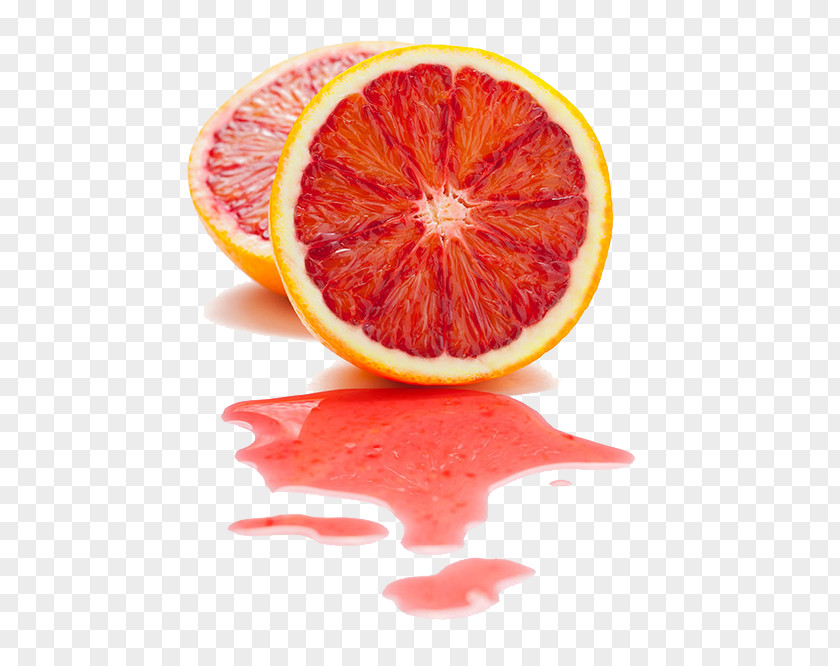 Real Grapefruit Blood Orange Bergamot Pomelo Mandarin PNG