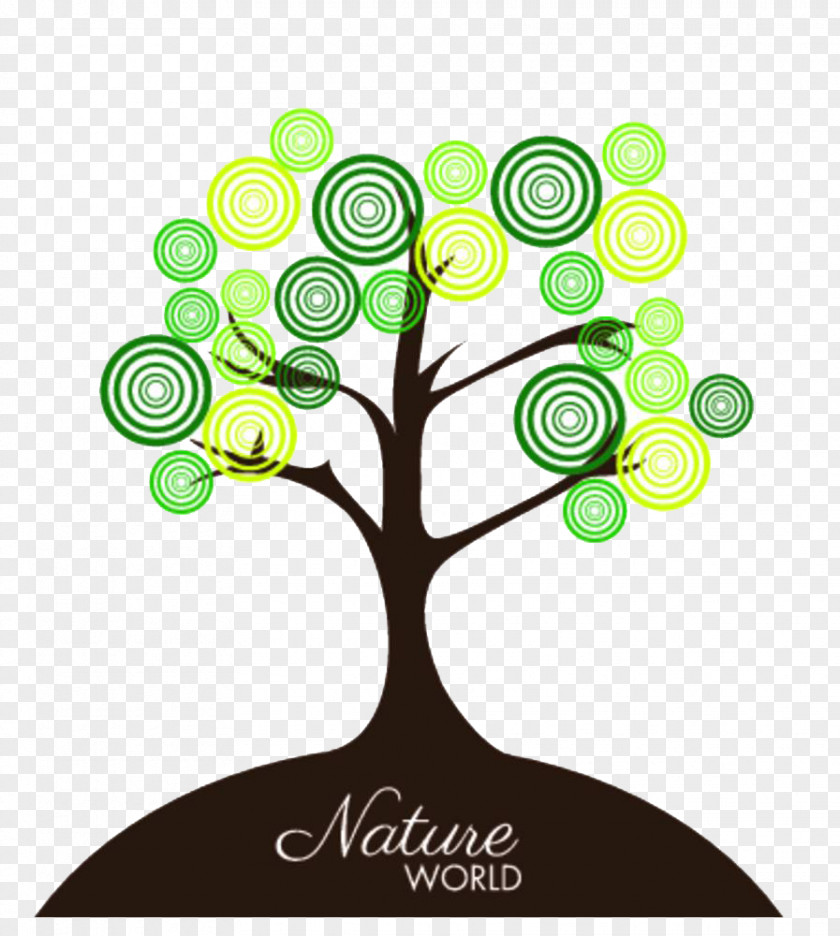 Cartoon Trees Tree Drawing PNG
