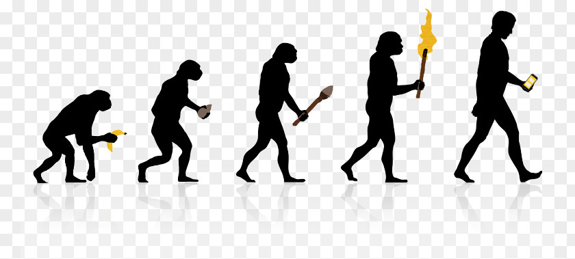 Evolution On The Origin Of Species Human Homo Sapiens Darwinism PNG