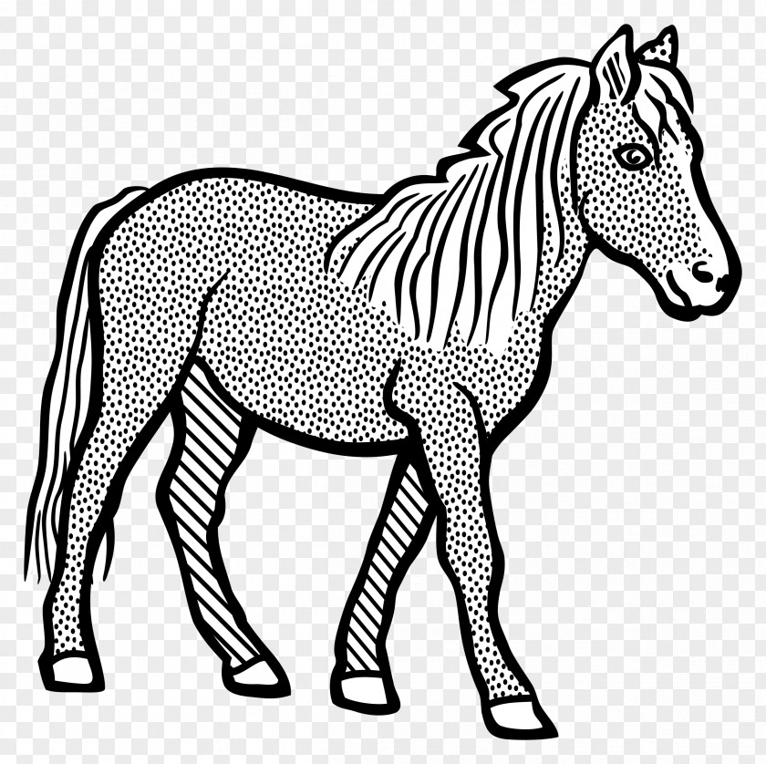 Horse Mule Clip Art Line Drawing PNG
