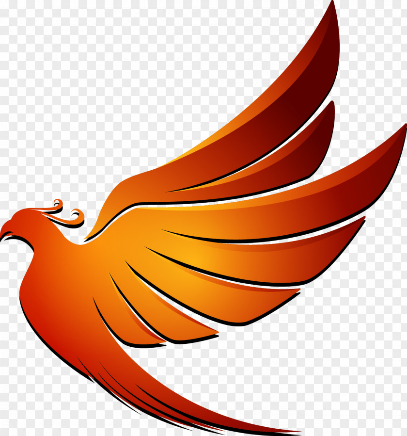 Phoenix Roebelenii Logo Design Art Image Corporate Identity PNG