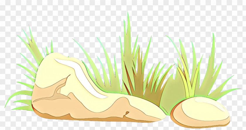 Plant Grass Family Commodity Green Design Medicine PNG
