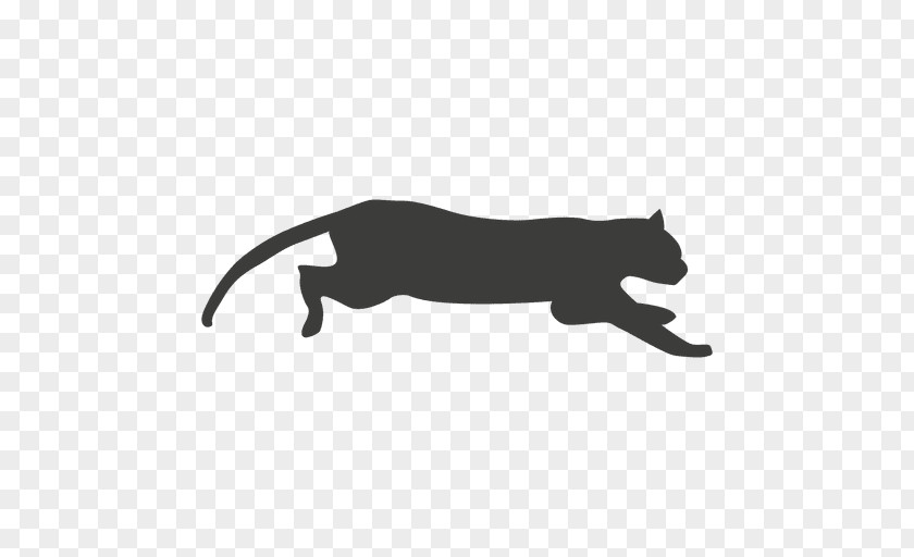 Sequence Vector Cat Kitten Clip Art PNG